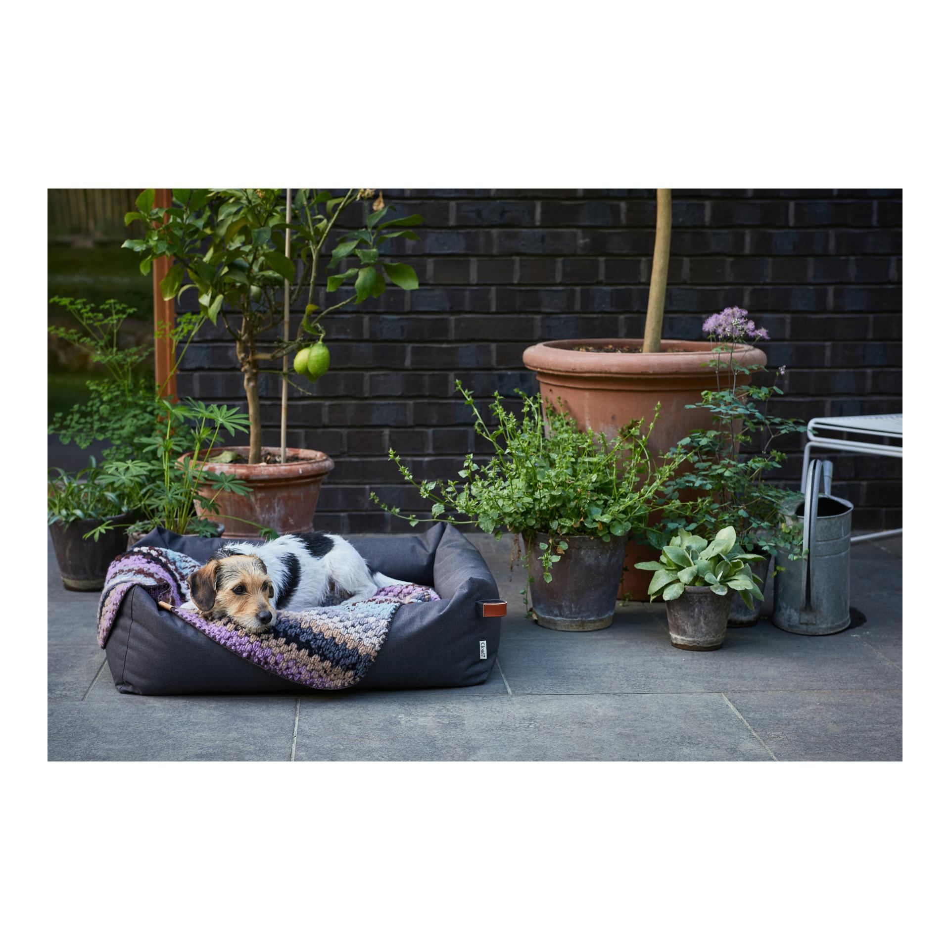 Hundedecke Woodstock