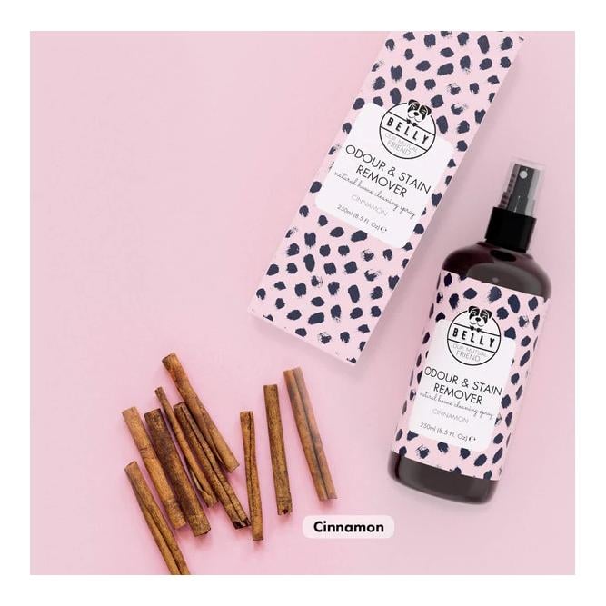 Reinigungsspray Odour & Stain Remover 