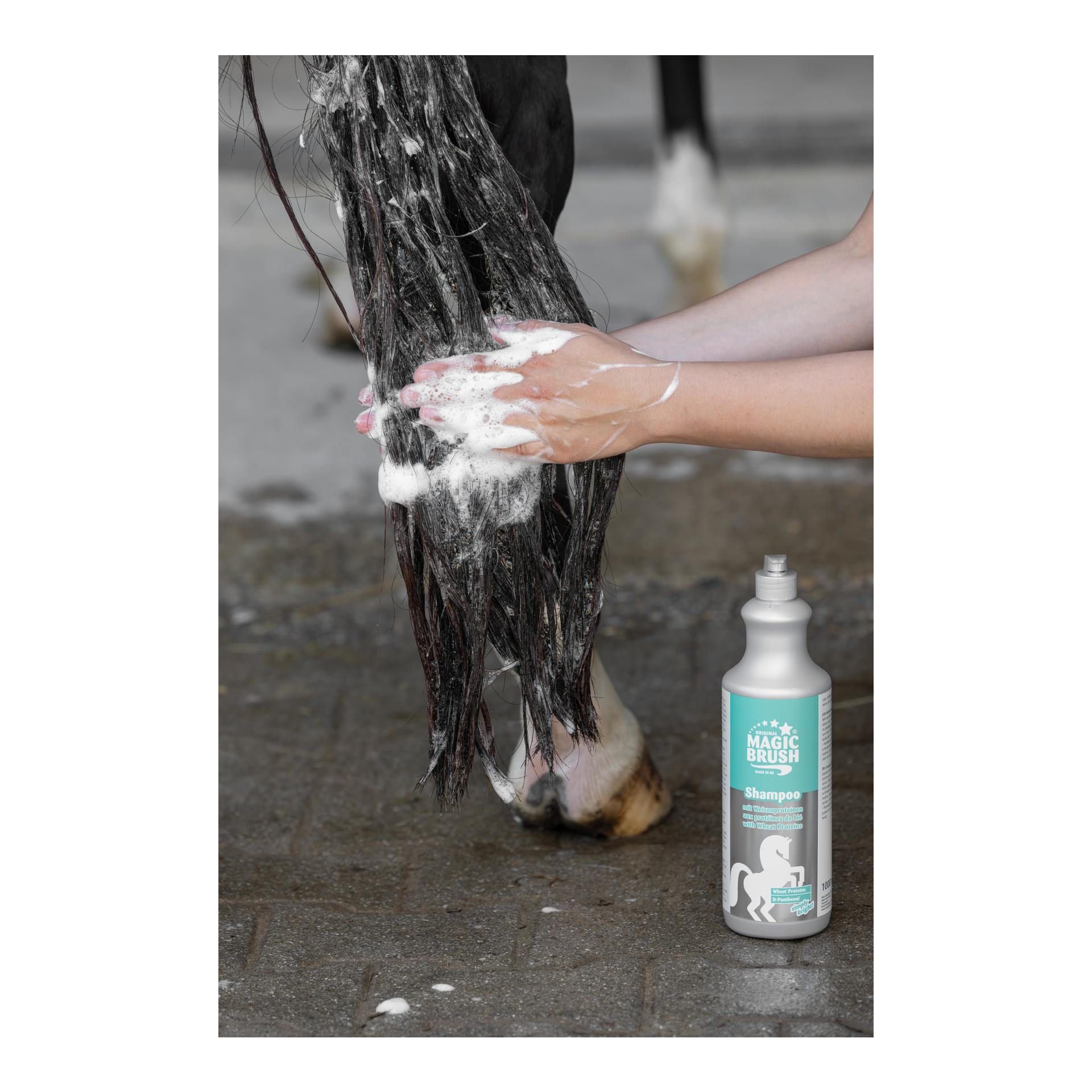 Pferdeshampoo mit Haferproteinen
