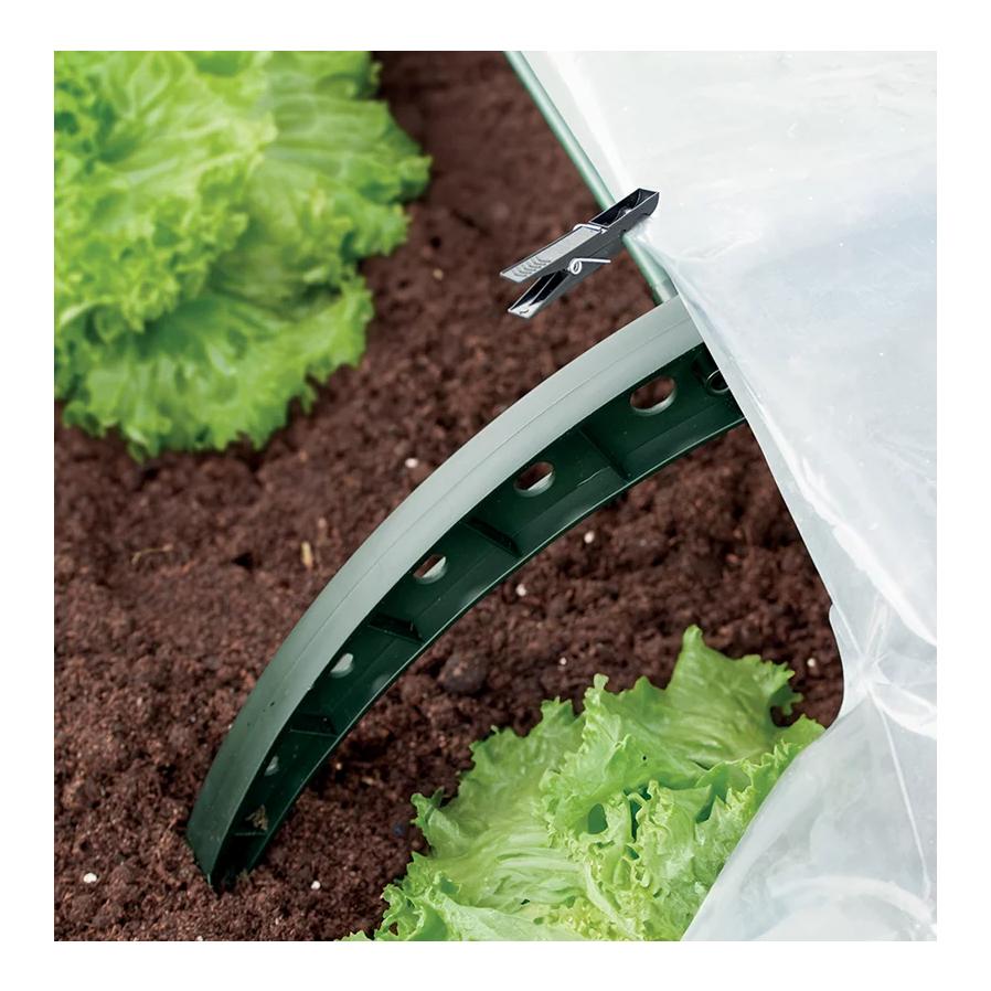 Prosperplast Garten Folientunnel Floo Tunnel