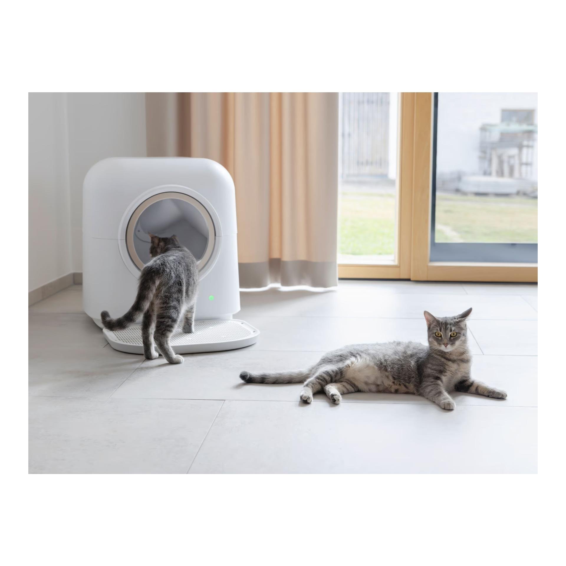 Kerbl Pet Maison de toilette pour chats Smart, auto-nettoyante