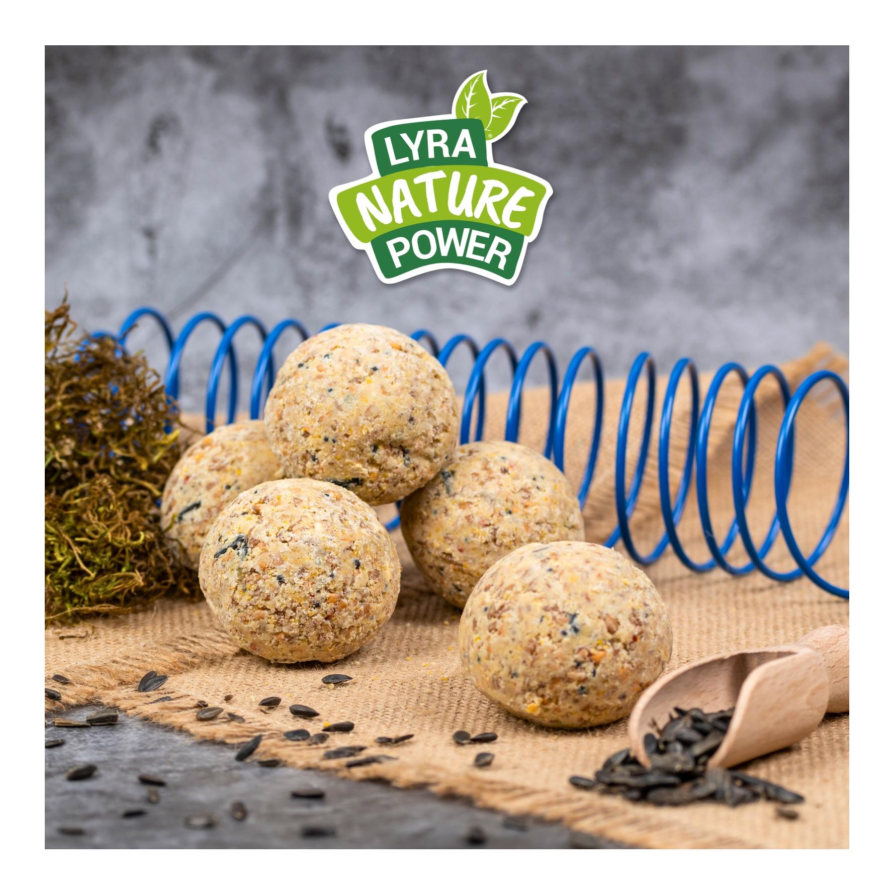 Meisenknödel ohne Netz