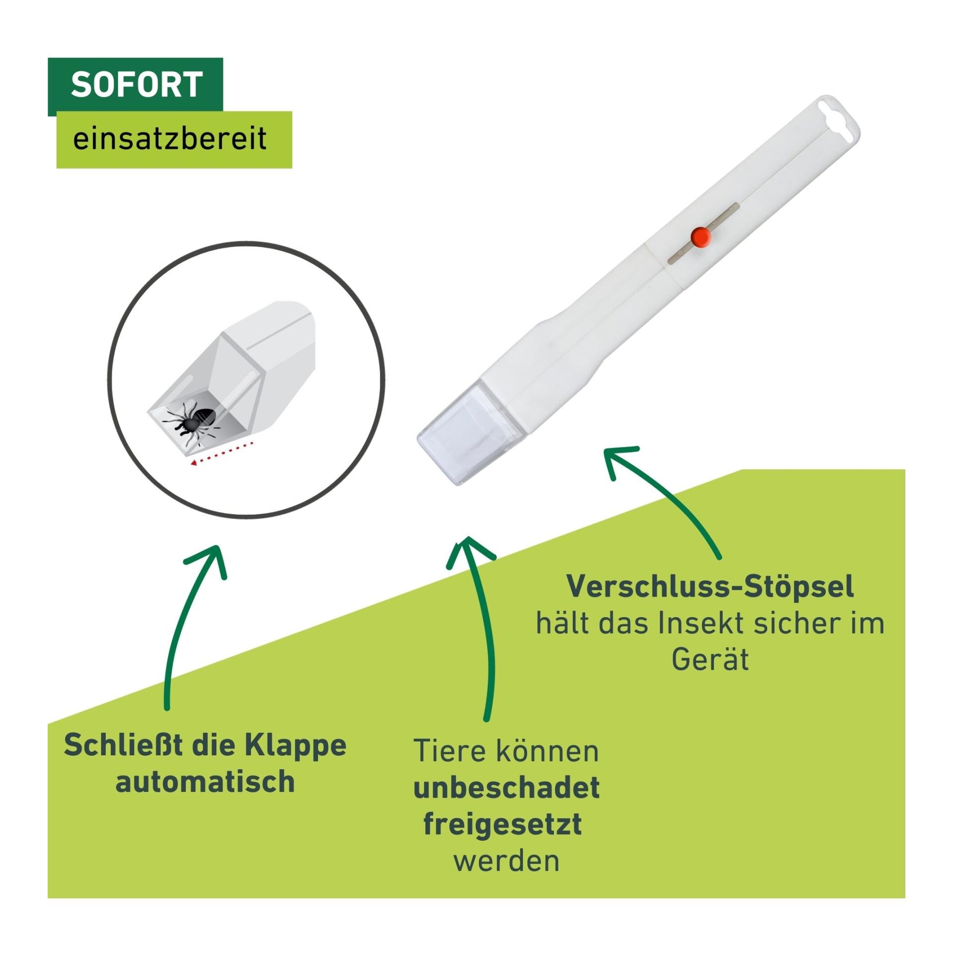Windhager Spinnen - und Insektenfänger