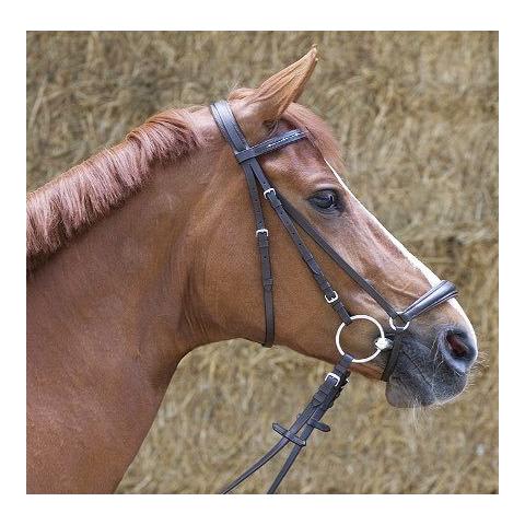 Image of Kieffer Trensenzaum Olivia hannoveranisch - schwarz/chrom bei Hauptner.ch