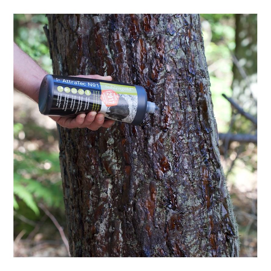 Suhlengold Version 2017 - AttraTec No 1