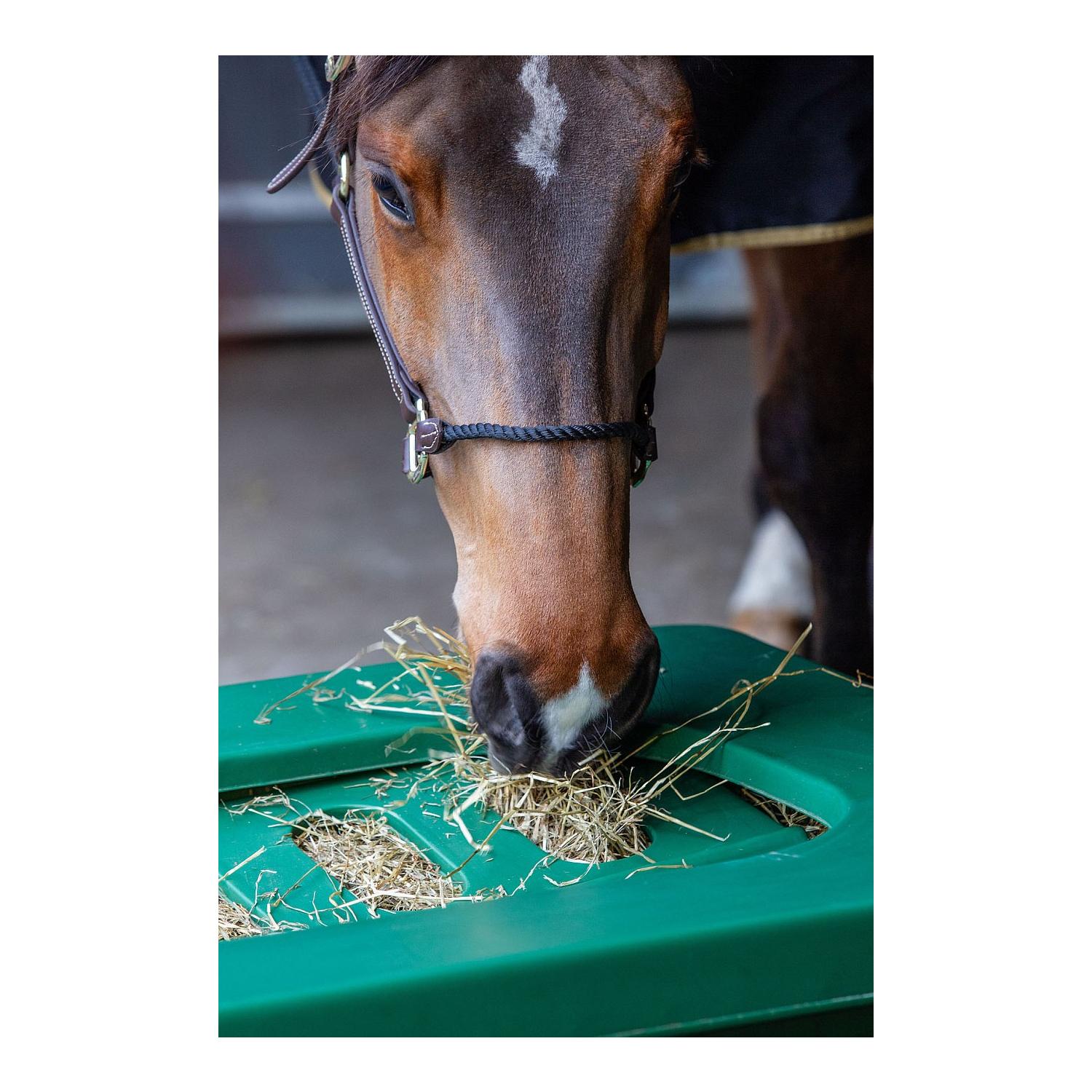 Growi Koppel- u. Paddocktrog aus Kunststoff