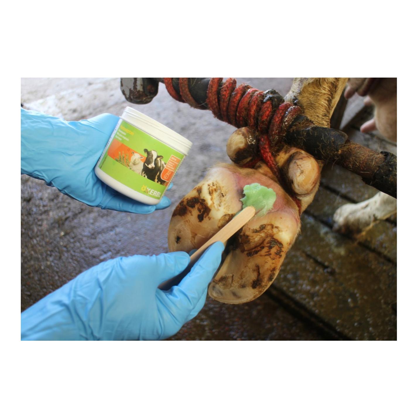 Kerbl Klauenpaste Podoseptan