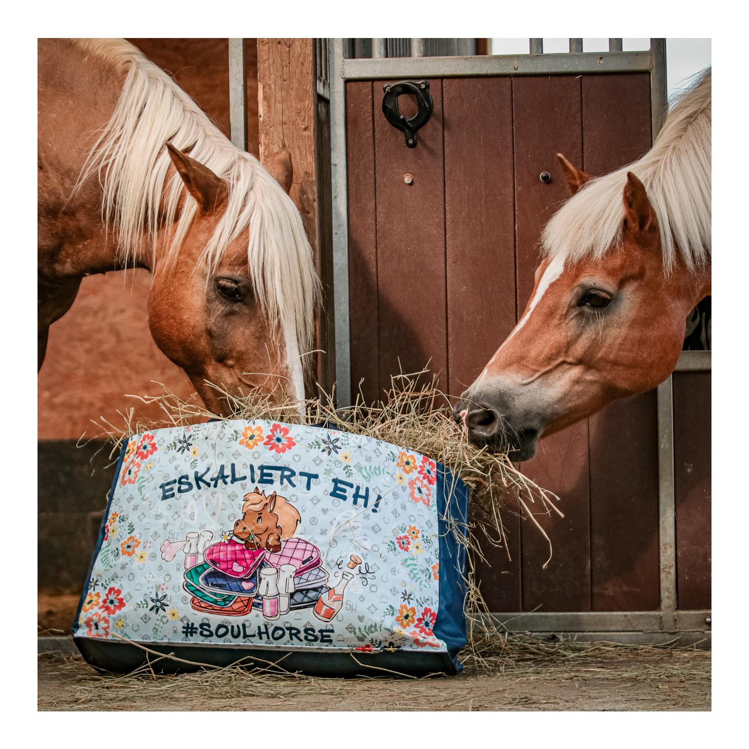 Tragetasche "Eskaliert Eh"