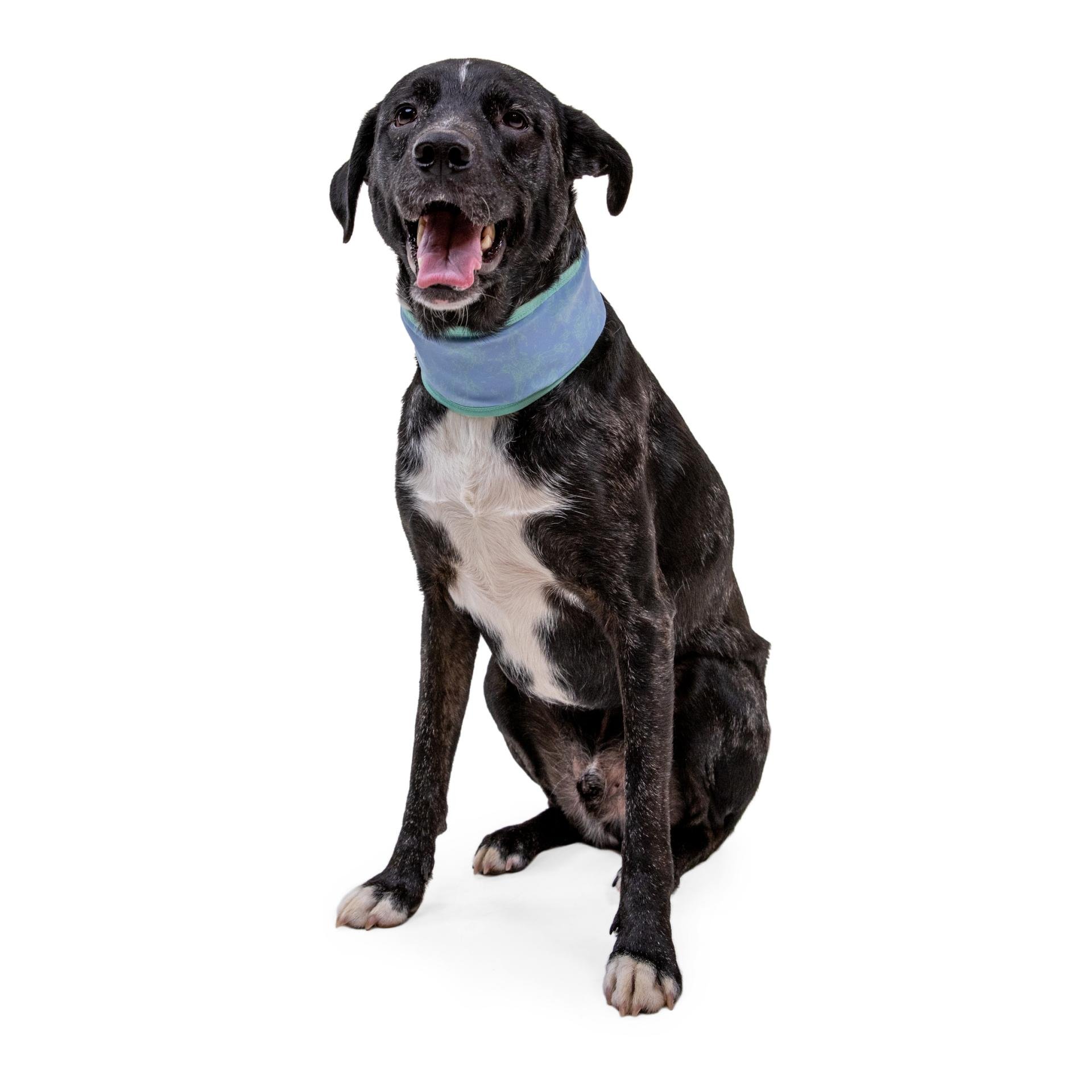 Swamp Cooler™ Halstuch