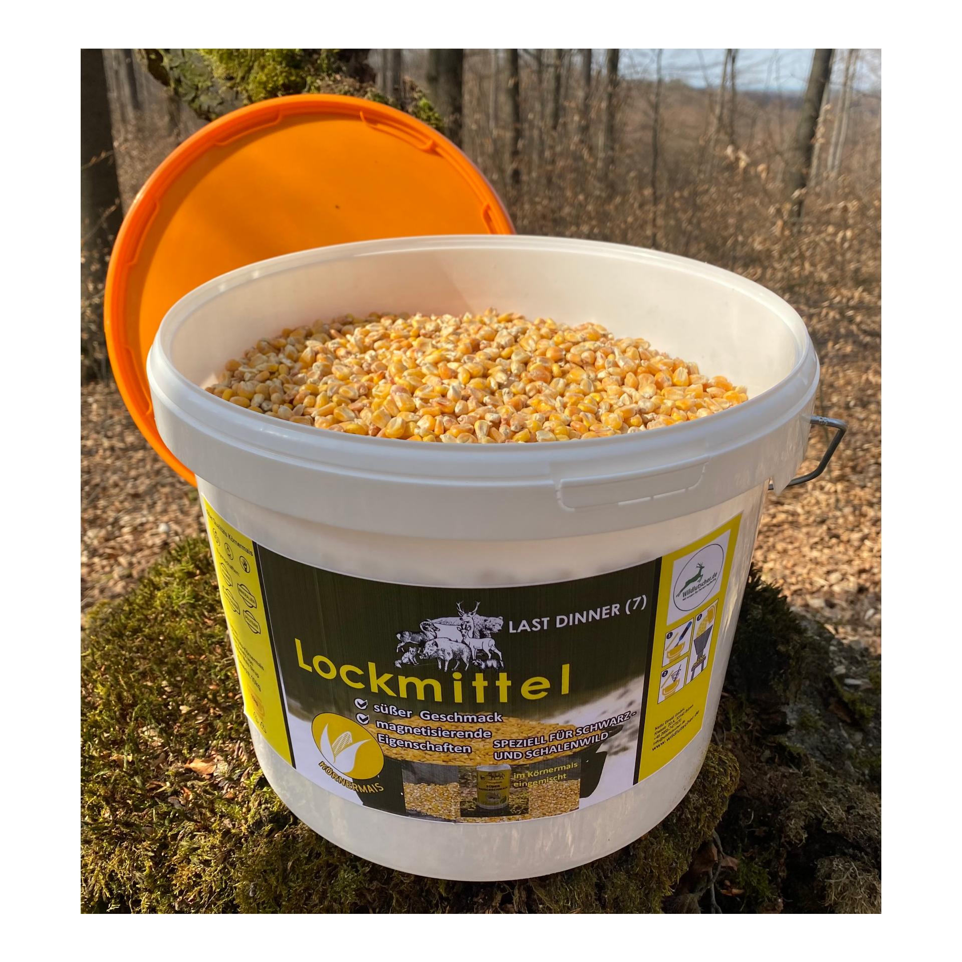 Last Dinner Nr. 7 Mais mit süßem Maissirup