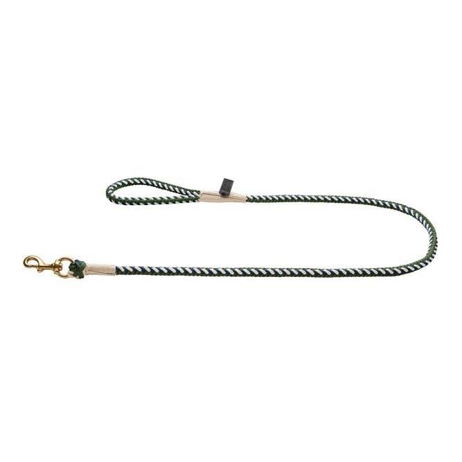 Führleine Tinnum - grün/blau