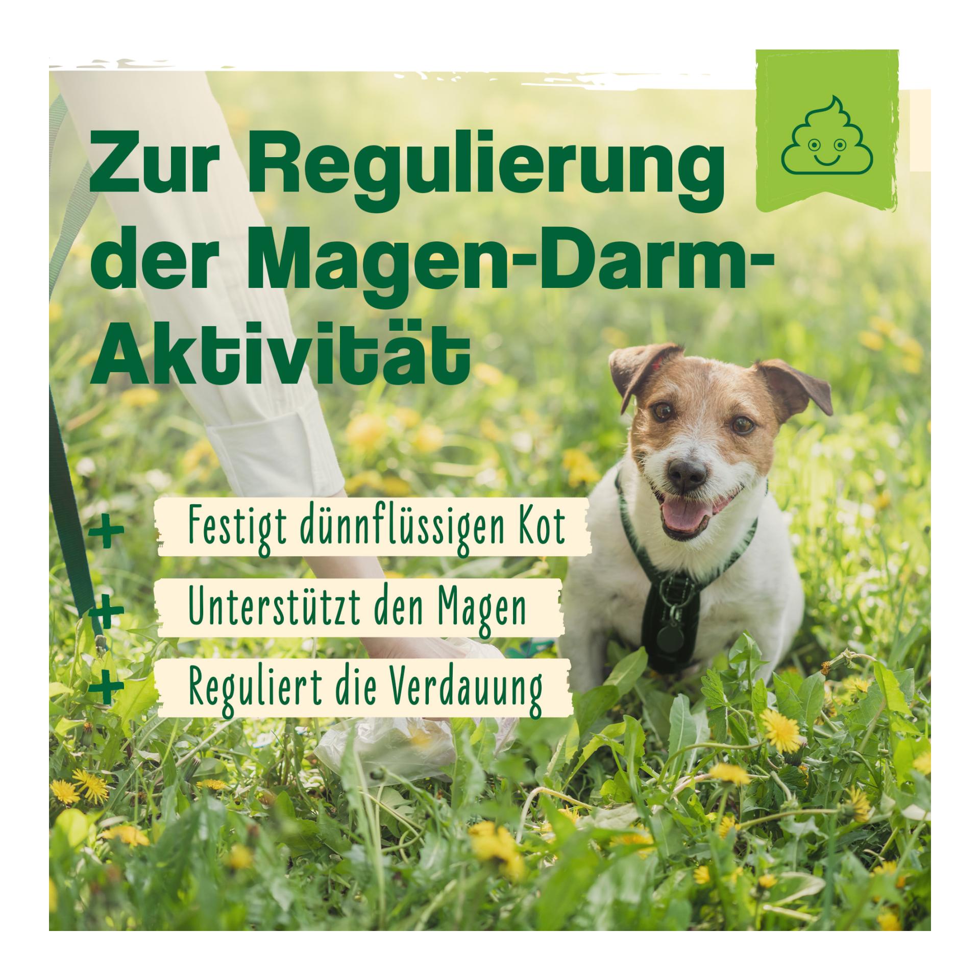 IdaPlus Heilmoor - Verbessert die Kotbeschaffenheit