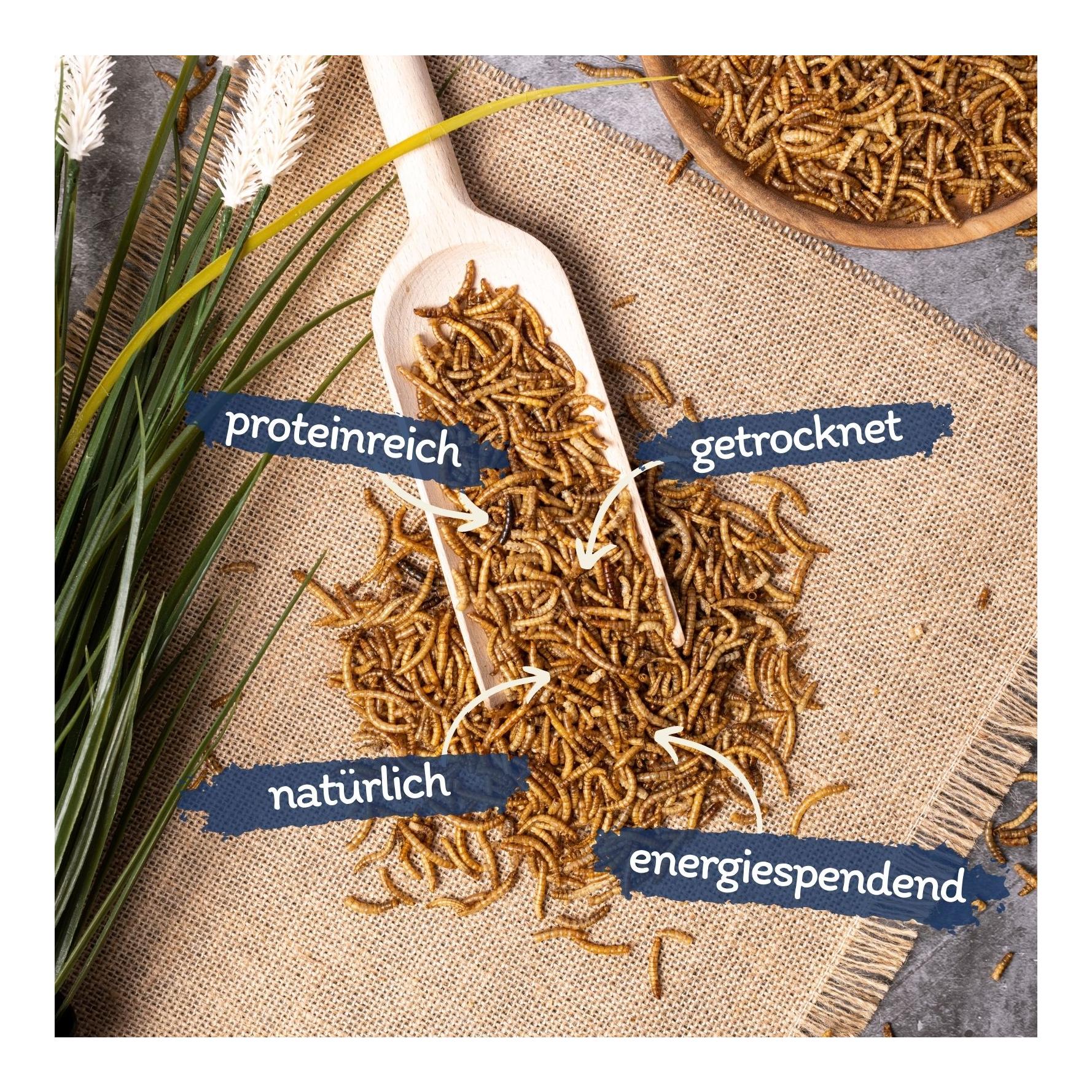 Mehlwürmer getrocknet