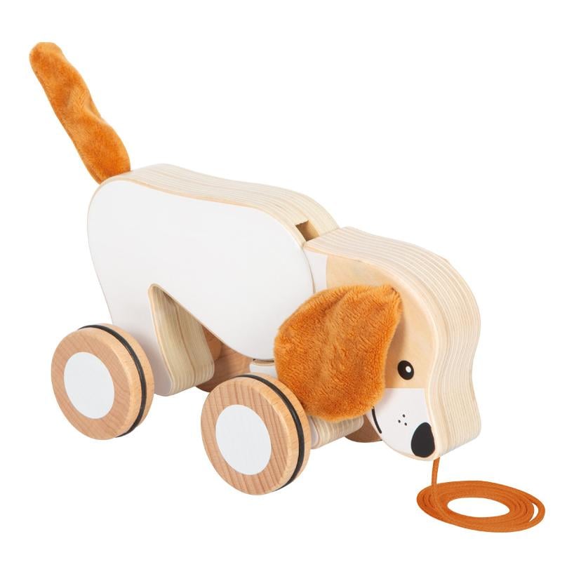 Nachziehtier Hund mit Knisterohren