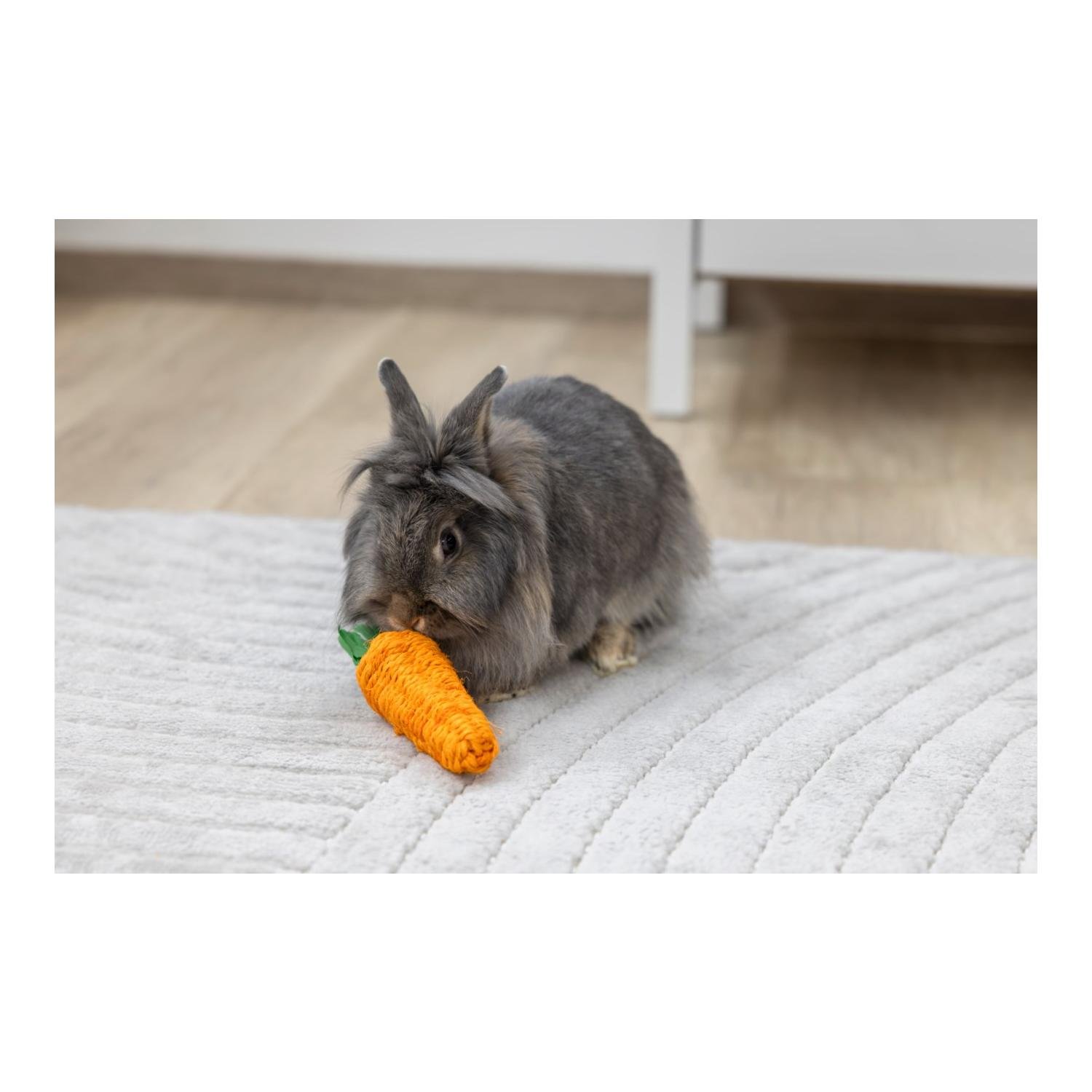 Nagetiere Spielzeug Sisalkarotte 