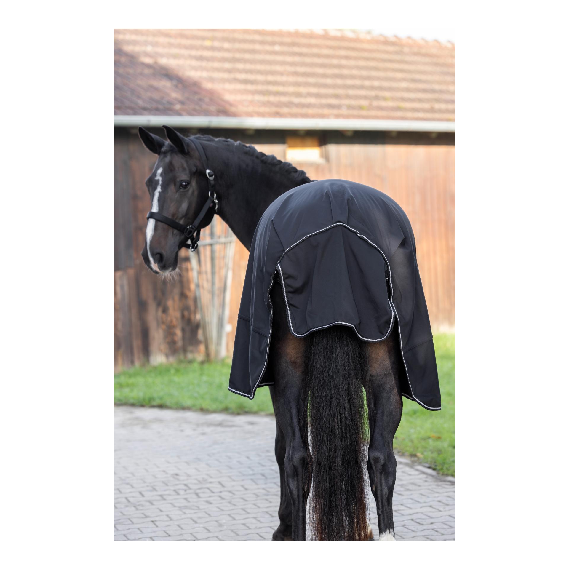 Führanlagendecke RugBe