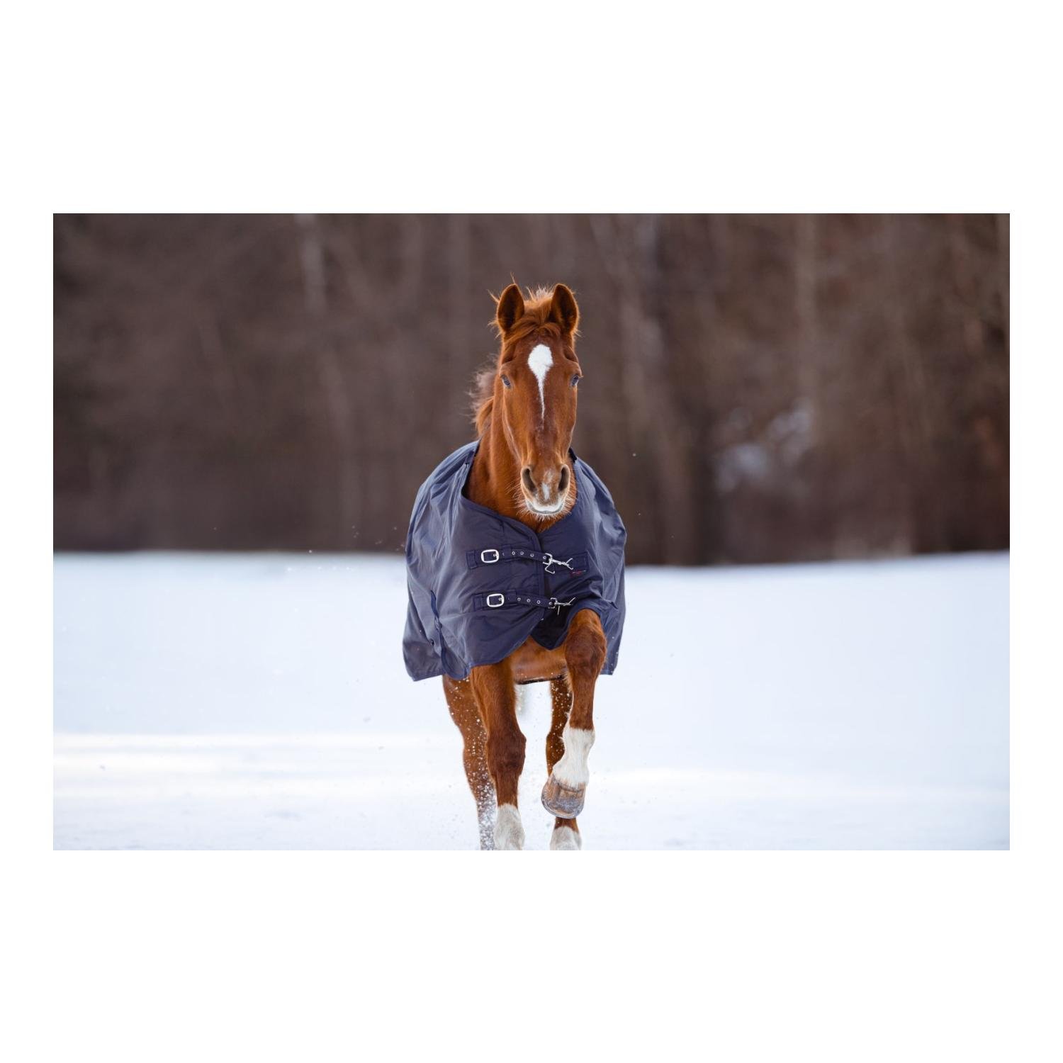 Outdoor-Pferdedecke RugBe 50 g