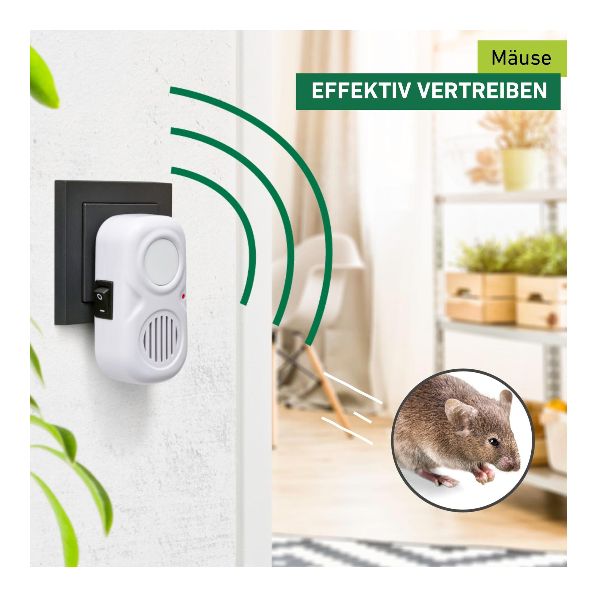 Windhager Répulsif souris Electro Cat - blanc