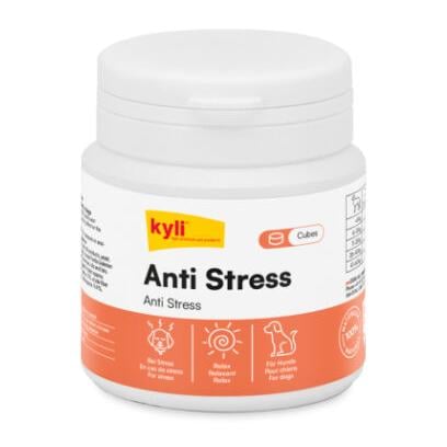 Anti Stress Cubes