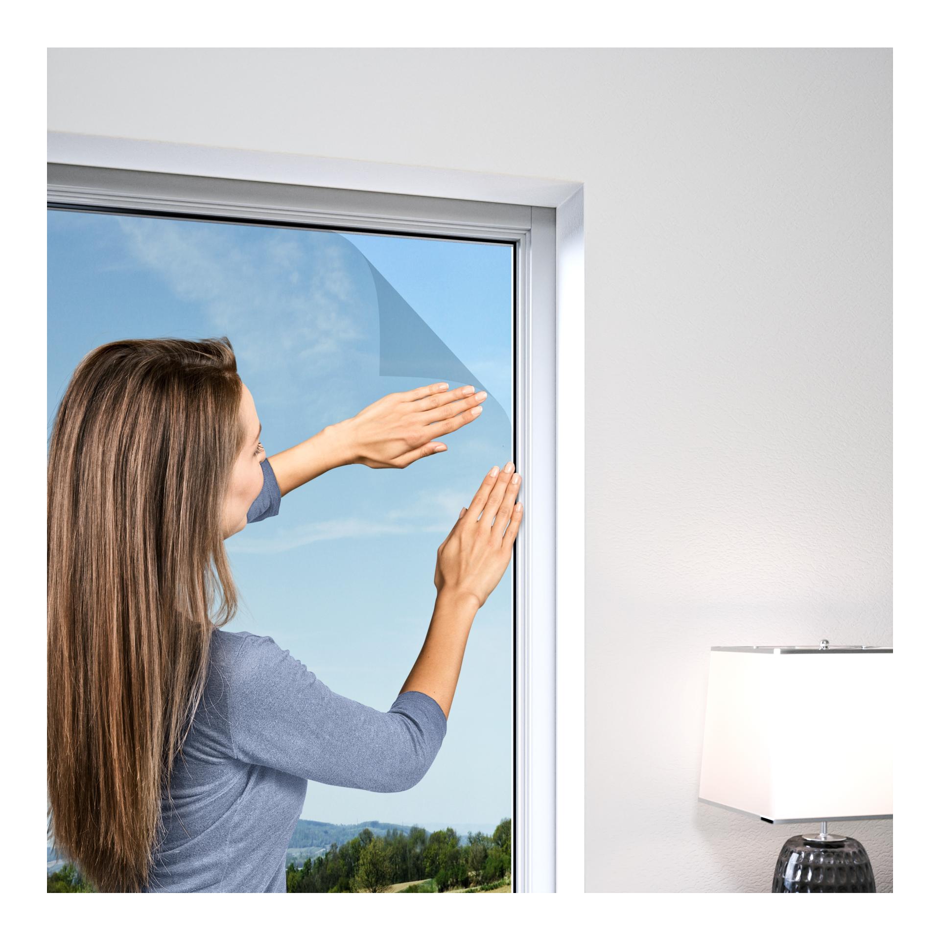 Windhager Fliegengitter Standard für Fenster - anthrazit