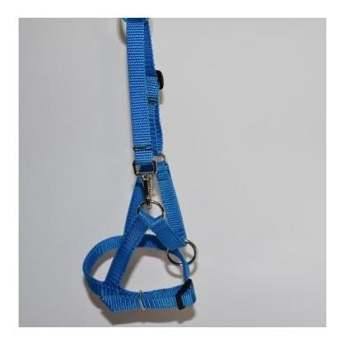 Alpaka Fohlenhalfter