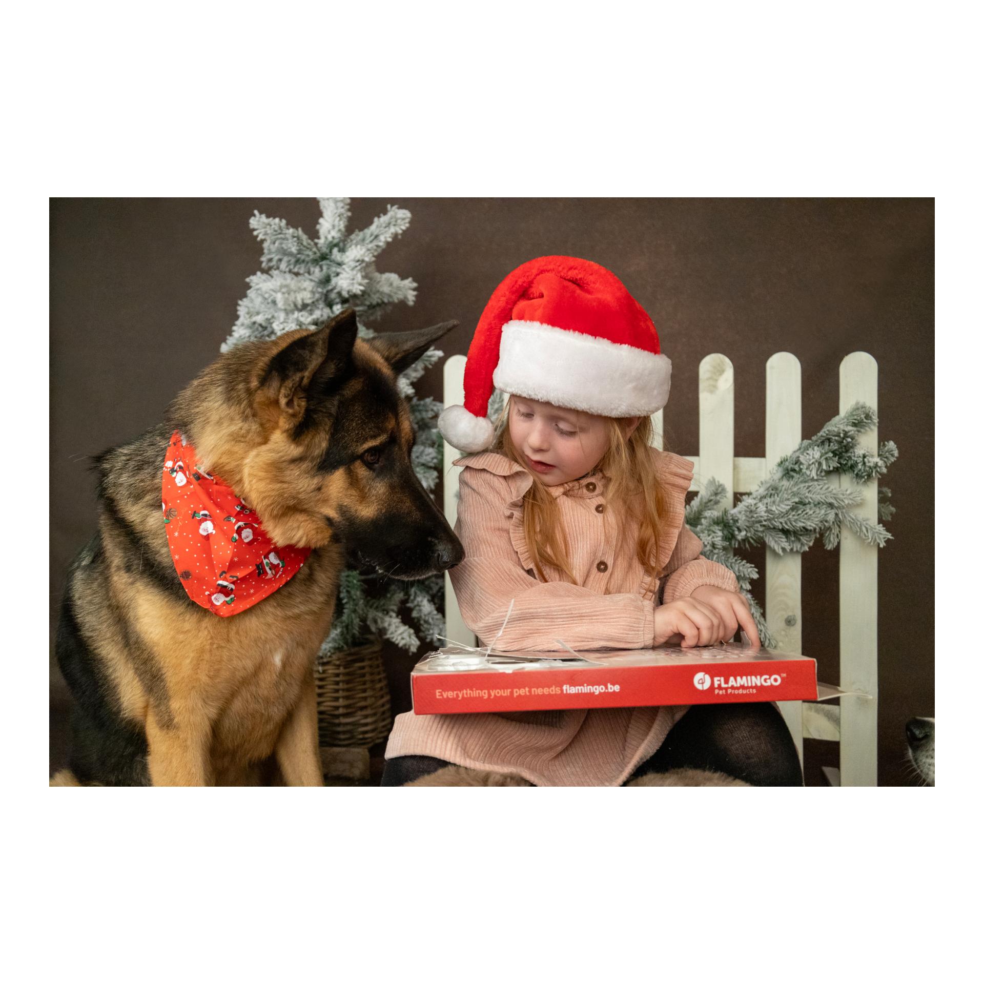 Adventskalender Hund - CHRISTMAS CALENDER NATURE SNACK