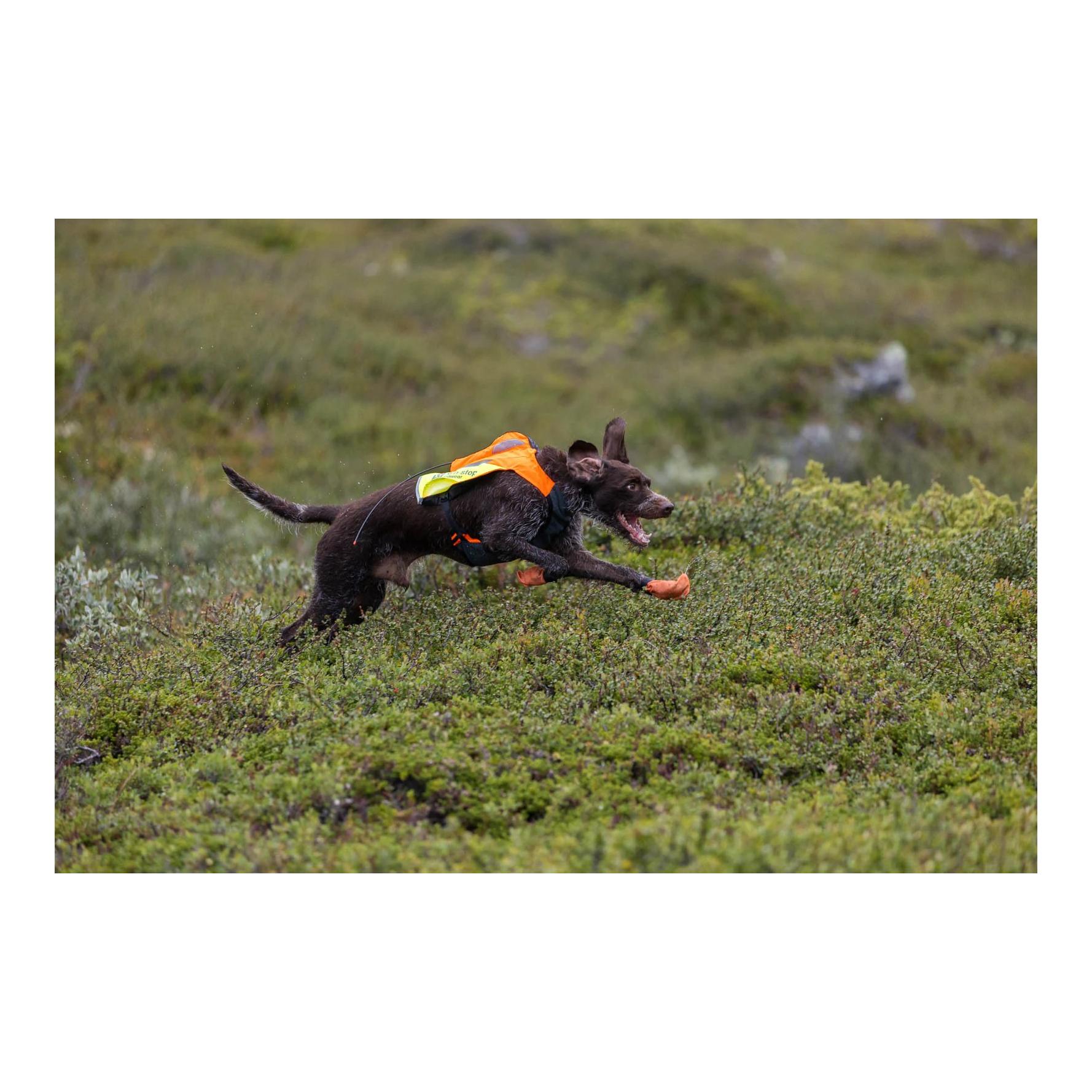 Protector vest GPS 2.0