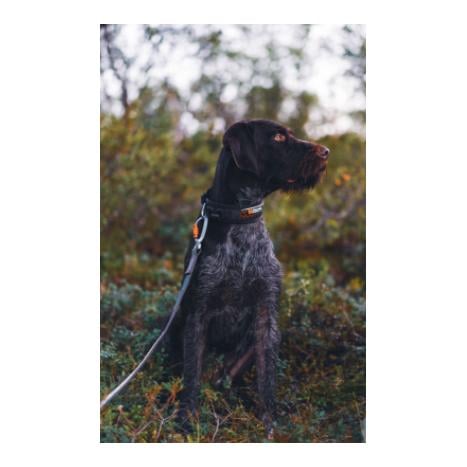 Rock Adjustable Collar