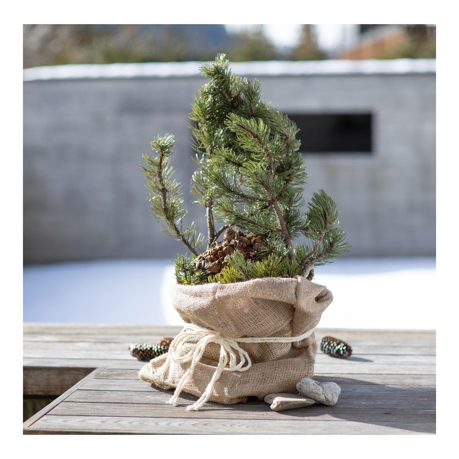 Windhager Jute Sack natur ÖKO 