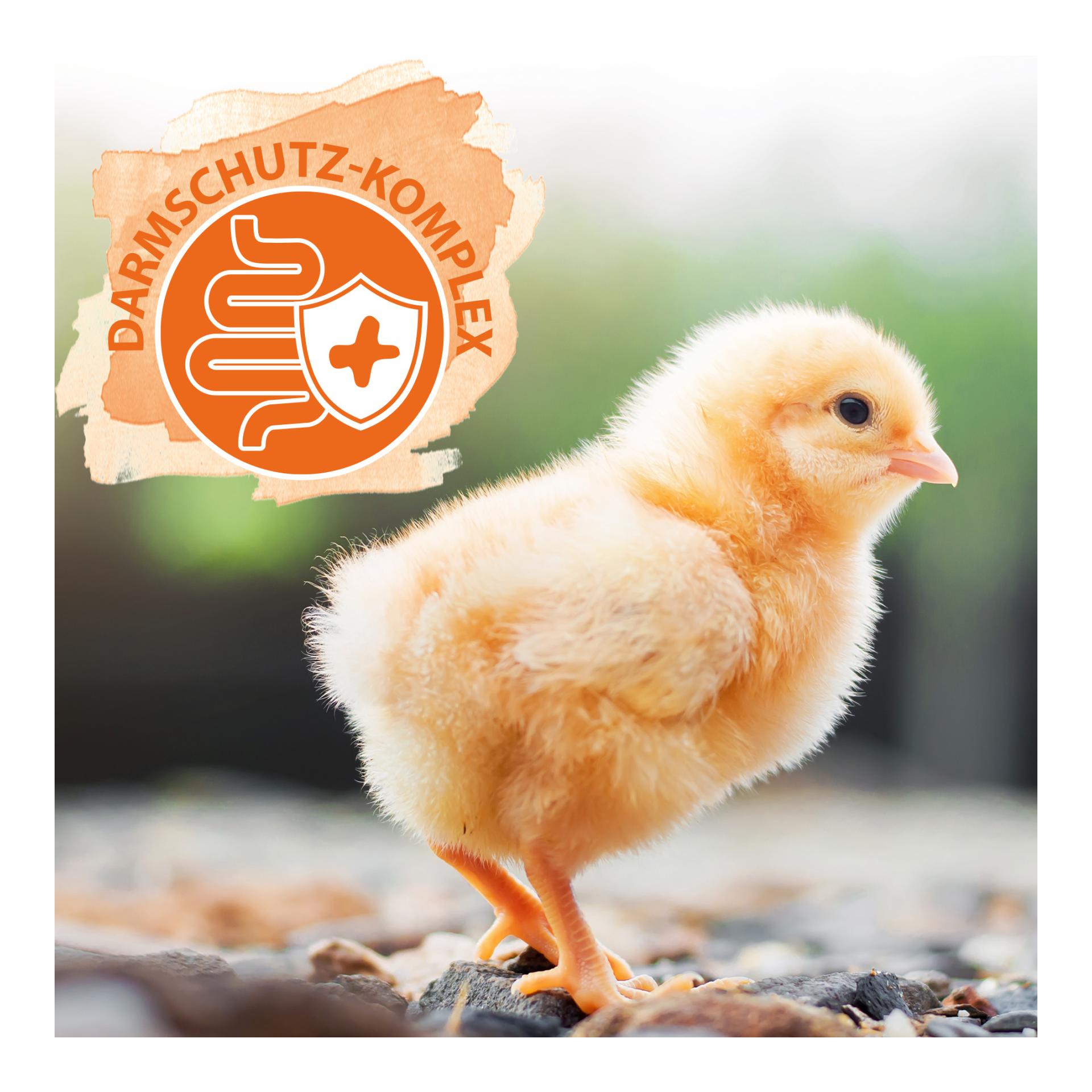 ProBiotic - für eine gesunde Darmflora