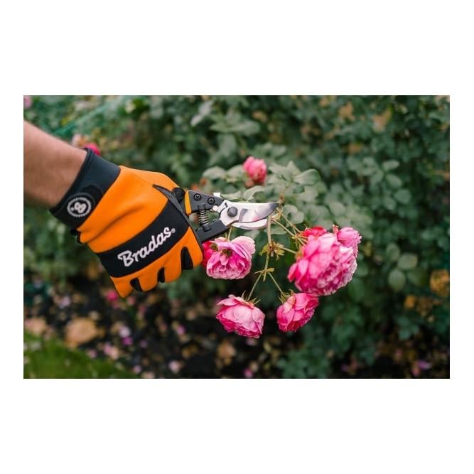 Sécateur pour arbres, vignes et jardinage SÉRIE V, lame continue, acier SK5