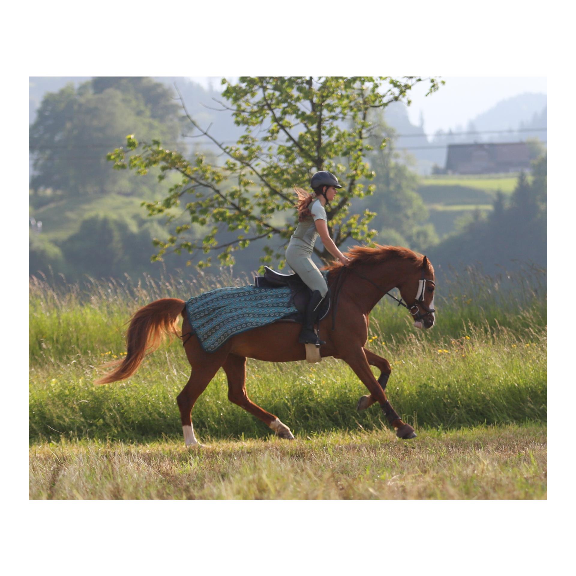 Reit-Fliegendecke Summer Stroll