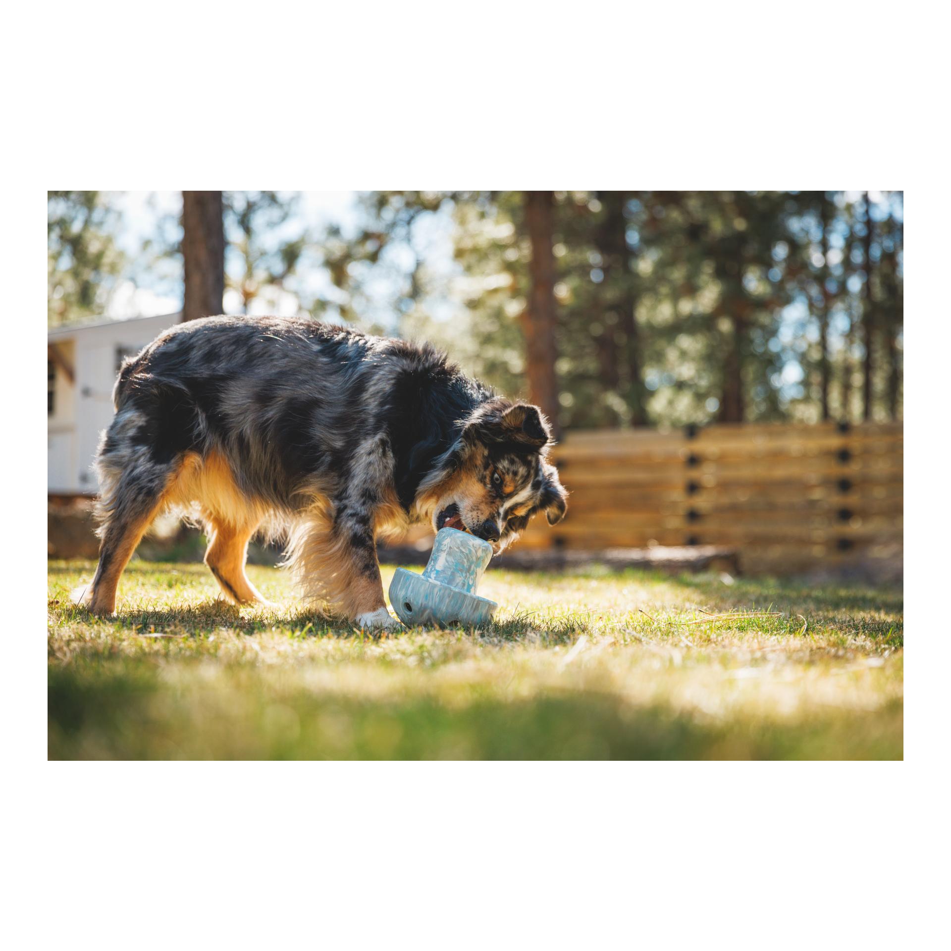 Hundespielzeug Porchini