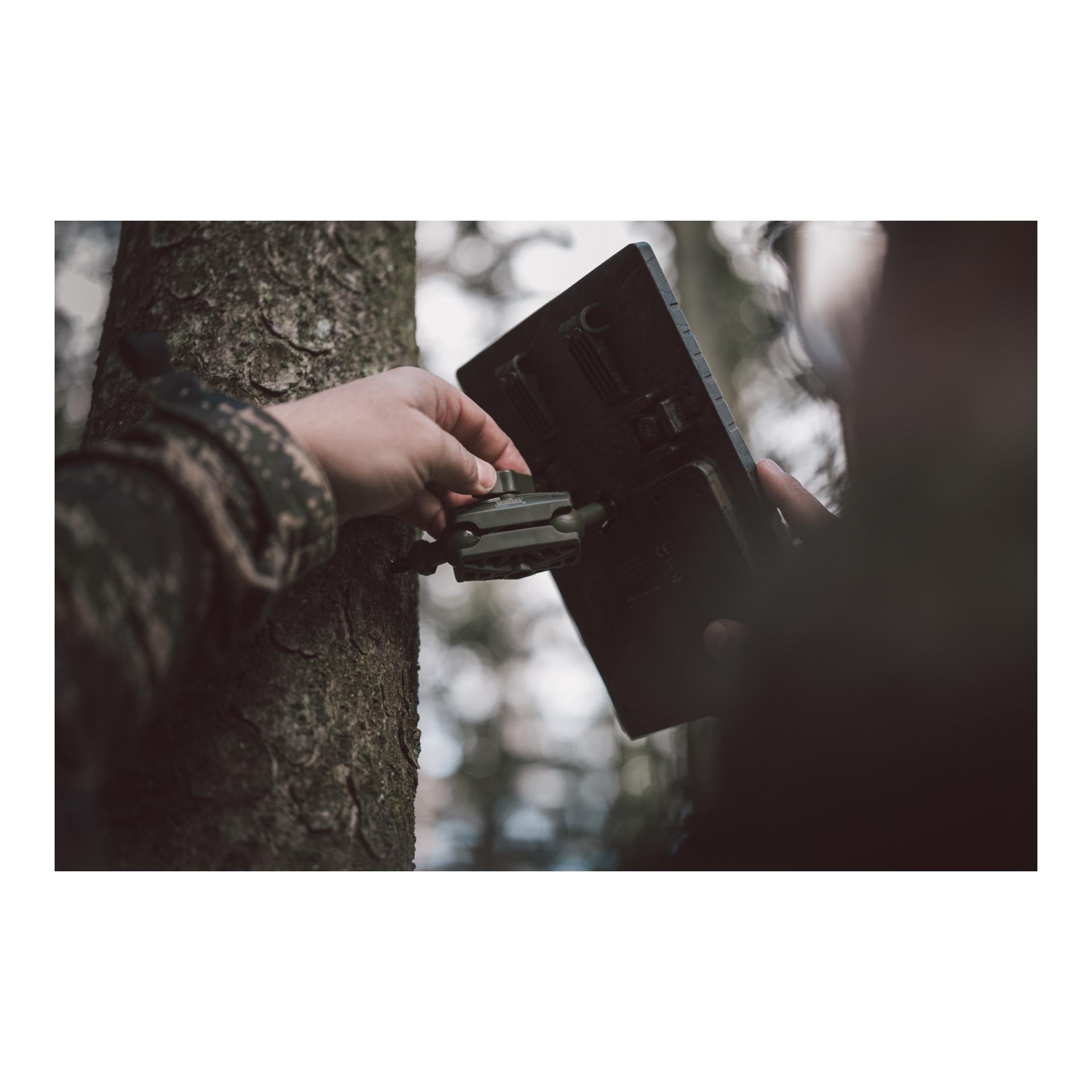 Baumstativ mit Kugelgelenken