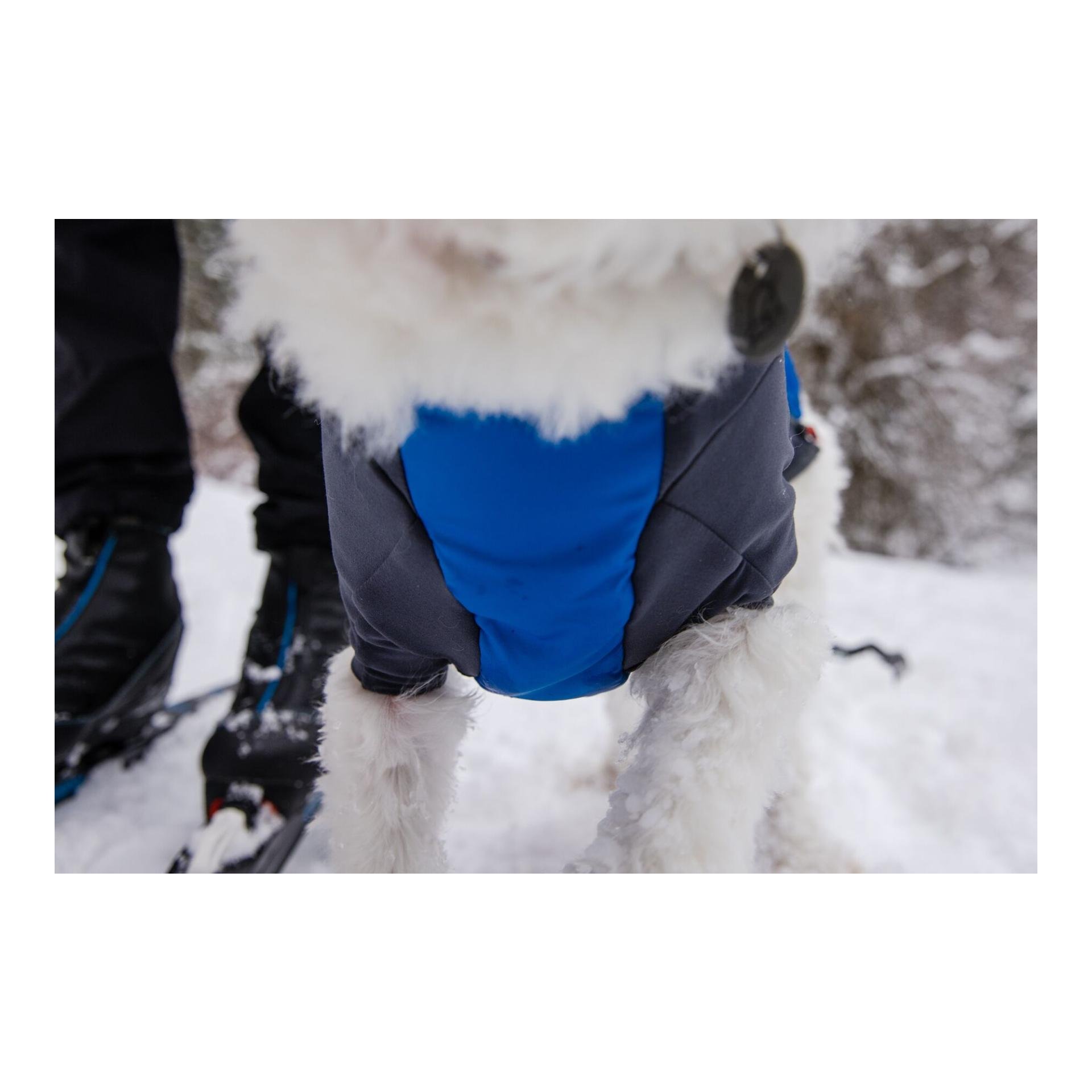 Powder Hound™ Jacket Hundejacke