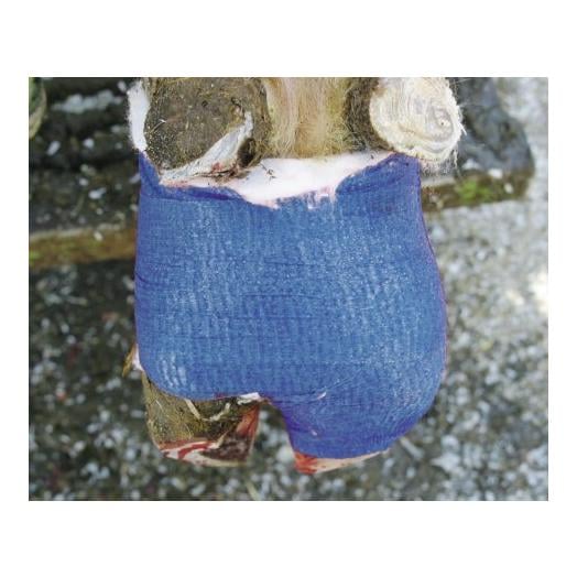 Klauenbandage VETlastic - blau