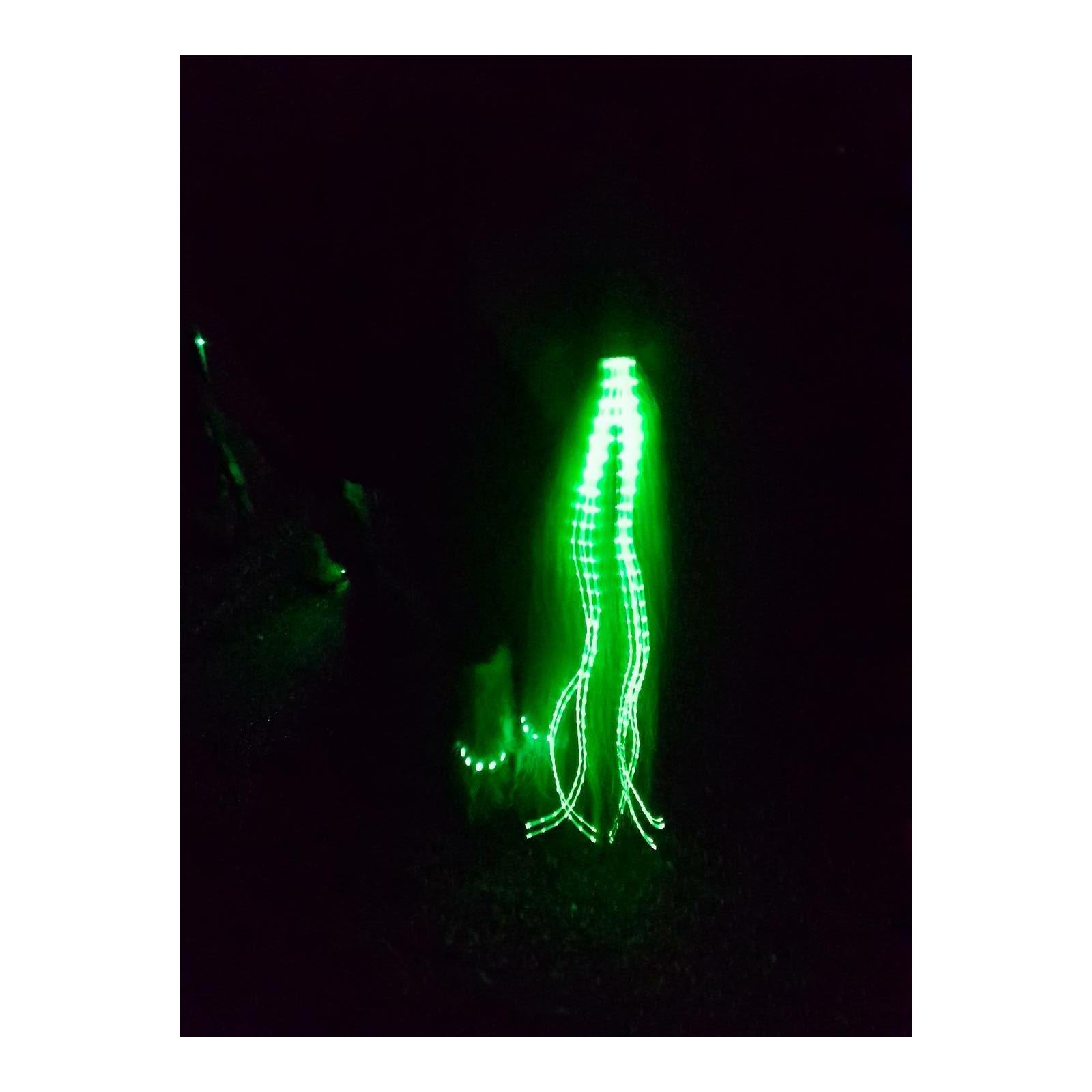 LED Schweifbeleuchtung Long 2.0 - grün