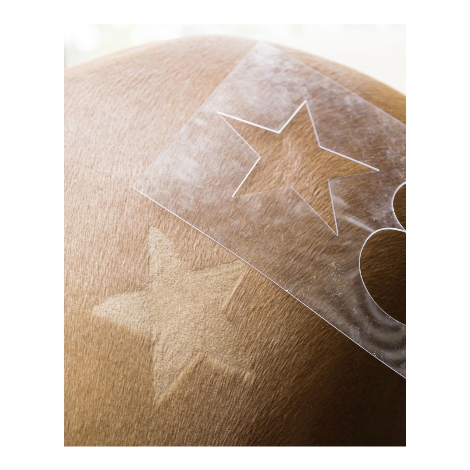 Scherschablone 3-er Set