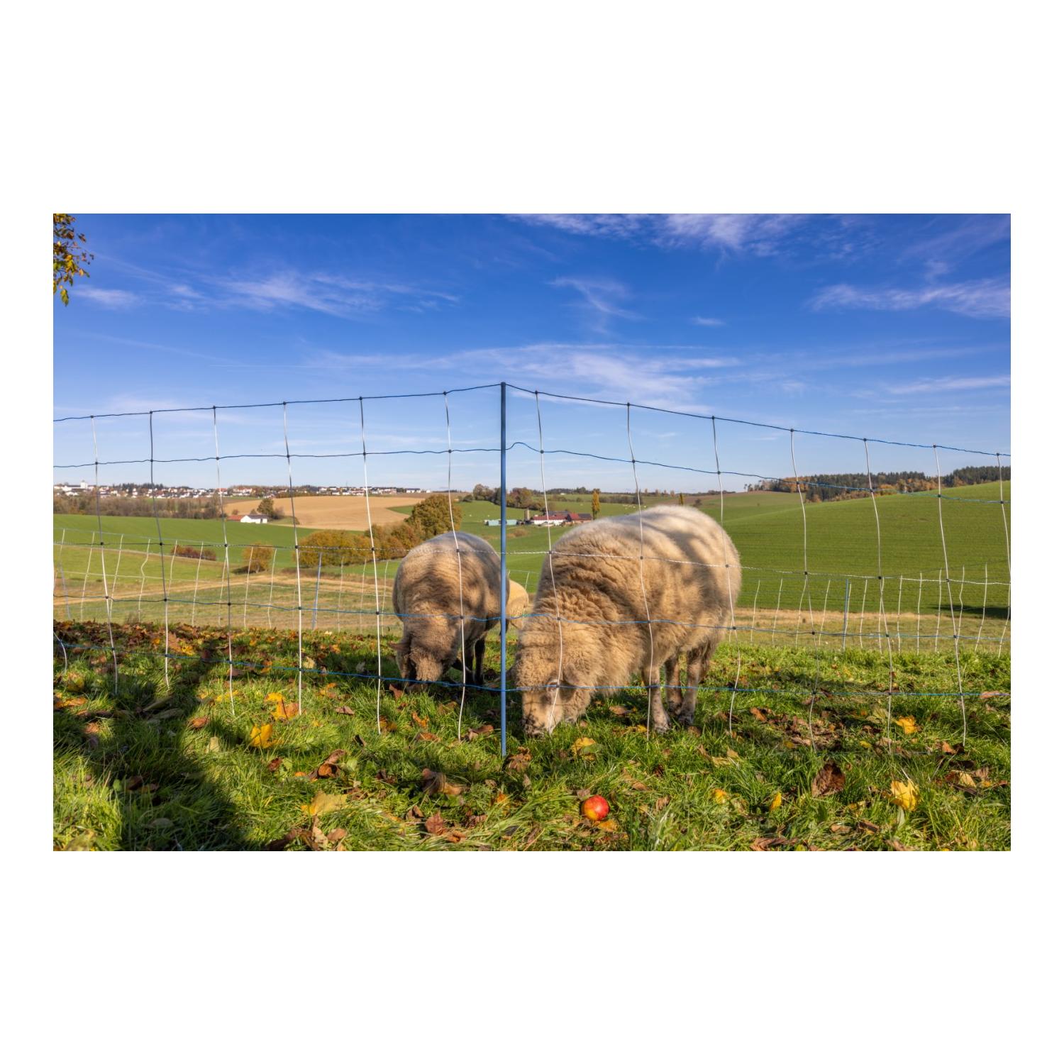 AKO Weidenetz Titan Light Premium - Einzelspitz