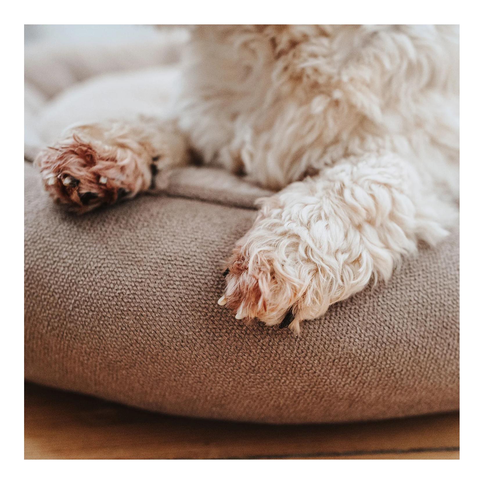 Hundedonut Rockford Hundedonut Rockford