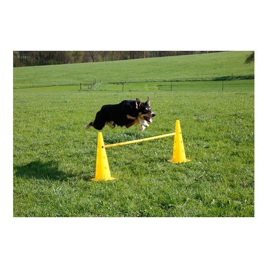 Kit de pylônes-haies Agility