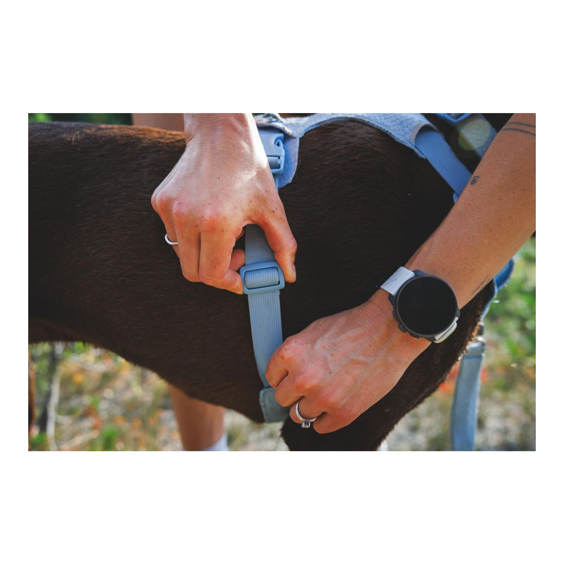 Ruffwear Front Range® Flex Hundegeschirr