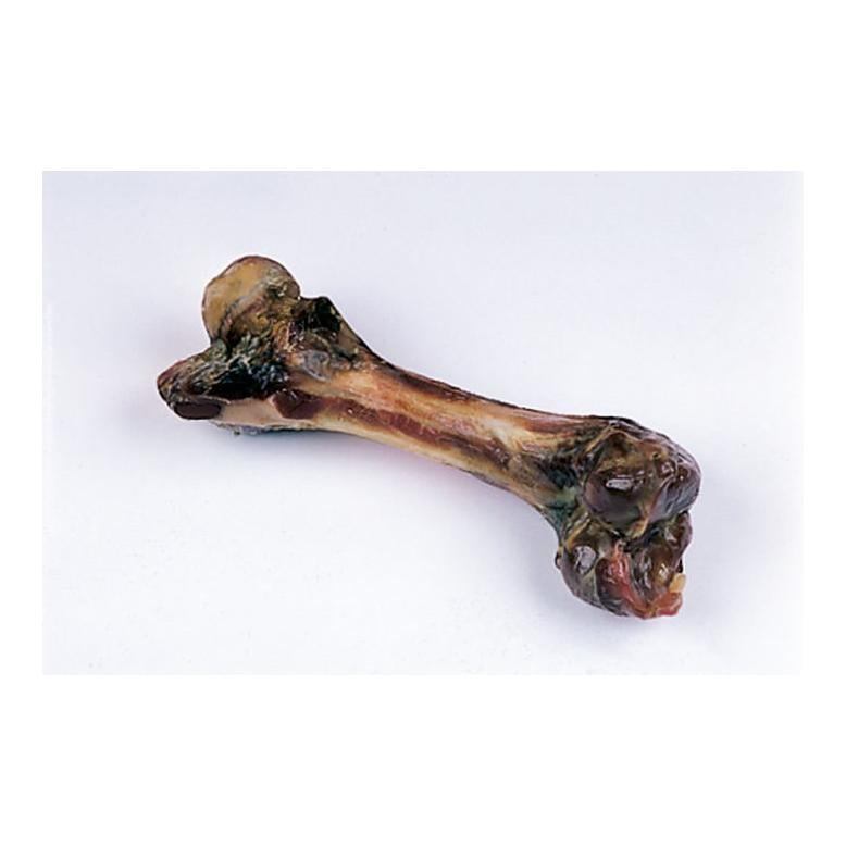 Schinkenknochen vom Schwein 20 cm