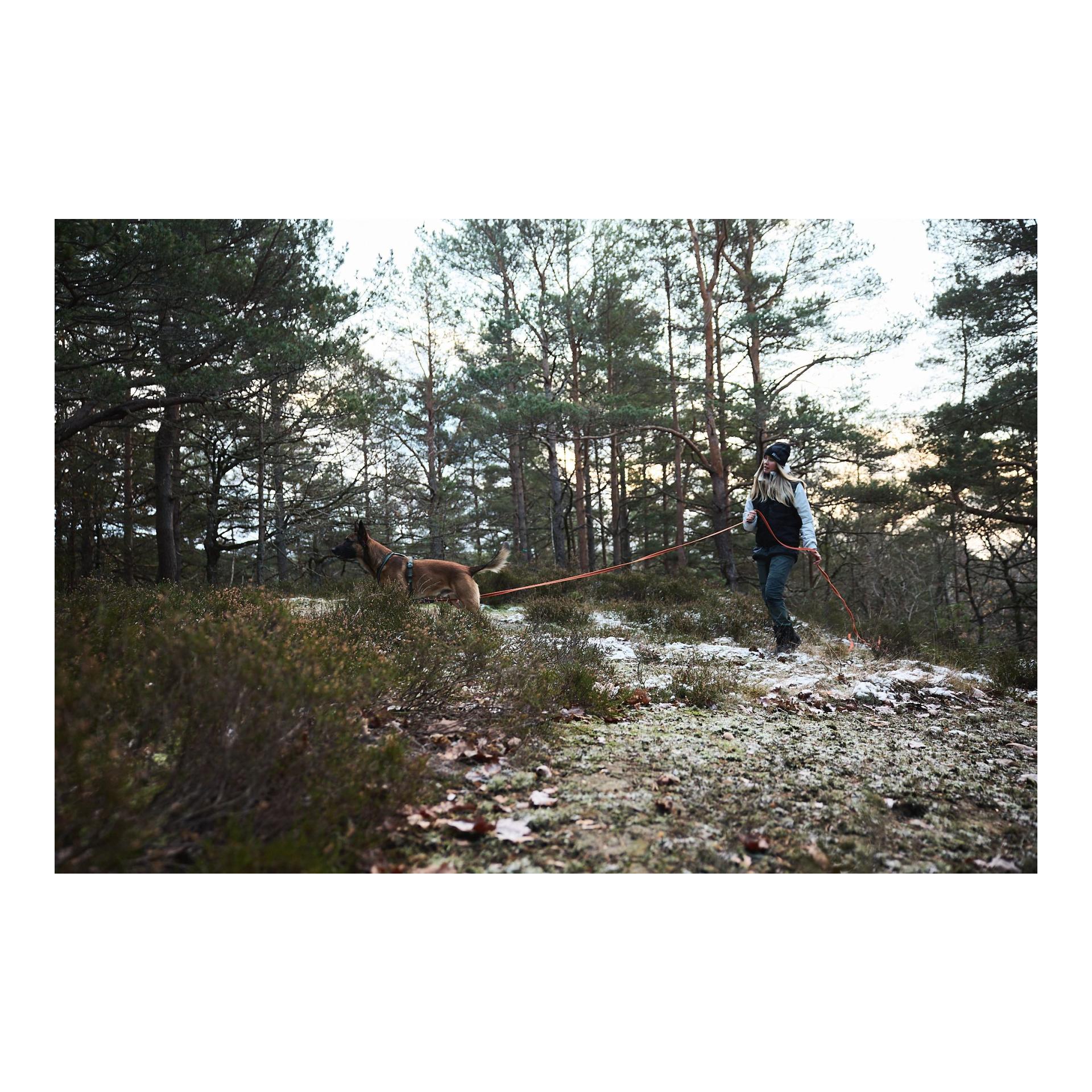 Friction Long Line Laisse à pister