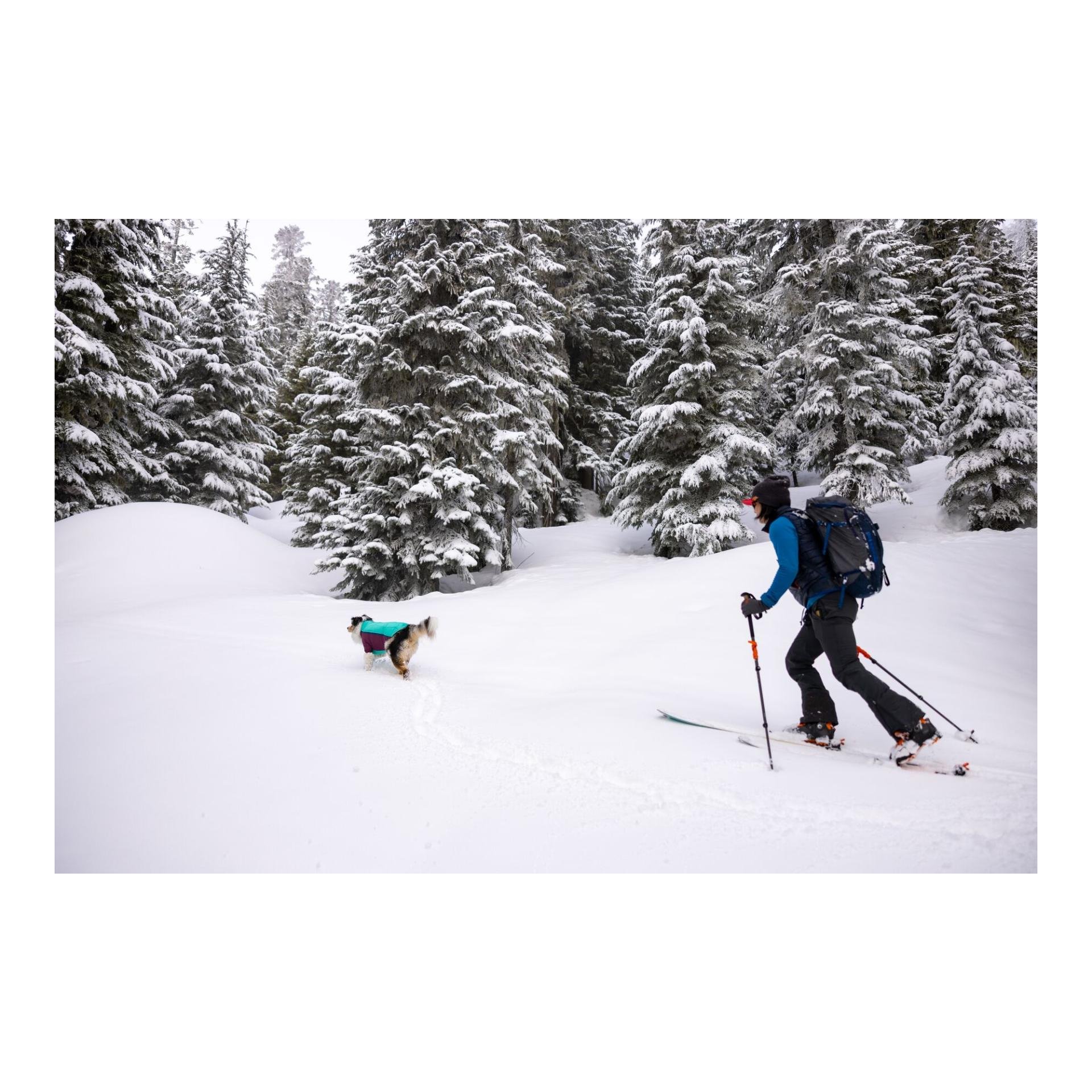 Powder Hound™ veste