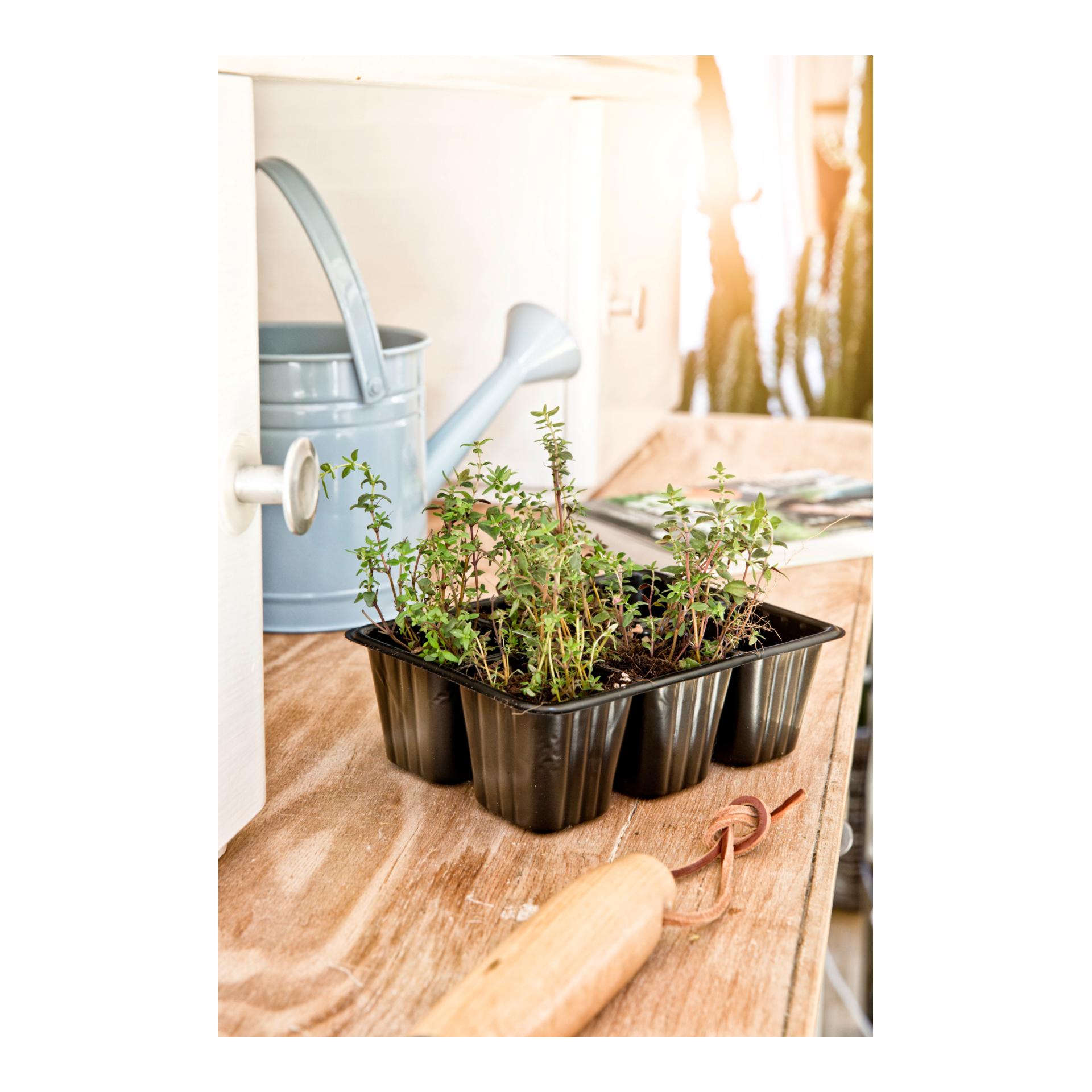 Topfplatten - schwarz