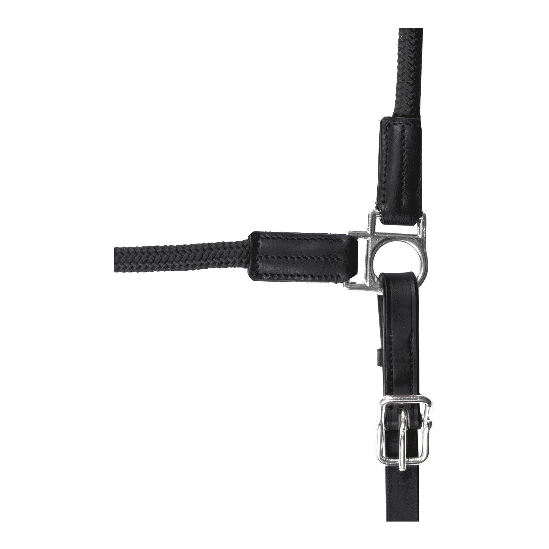 Lederhalfter X-Line Nevada