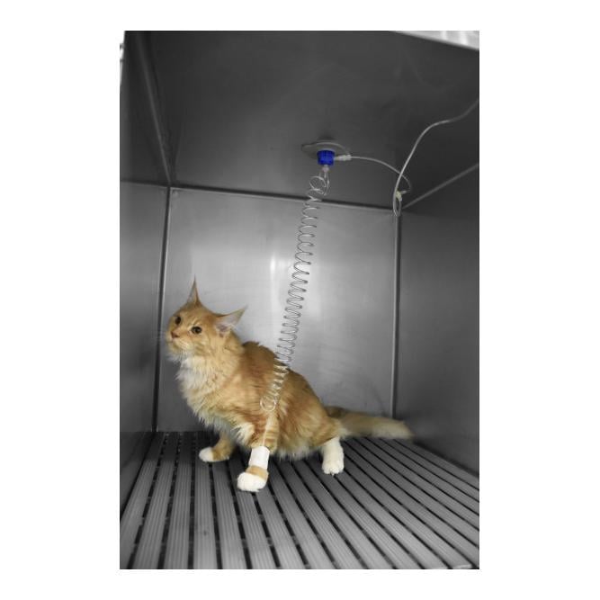 Perfuvet® Twist – 3 Sätze á 2 Halbschalen