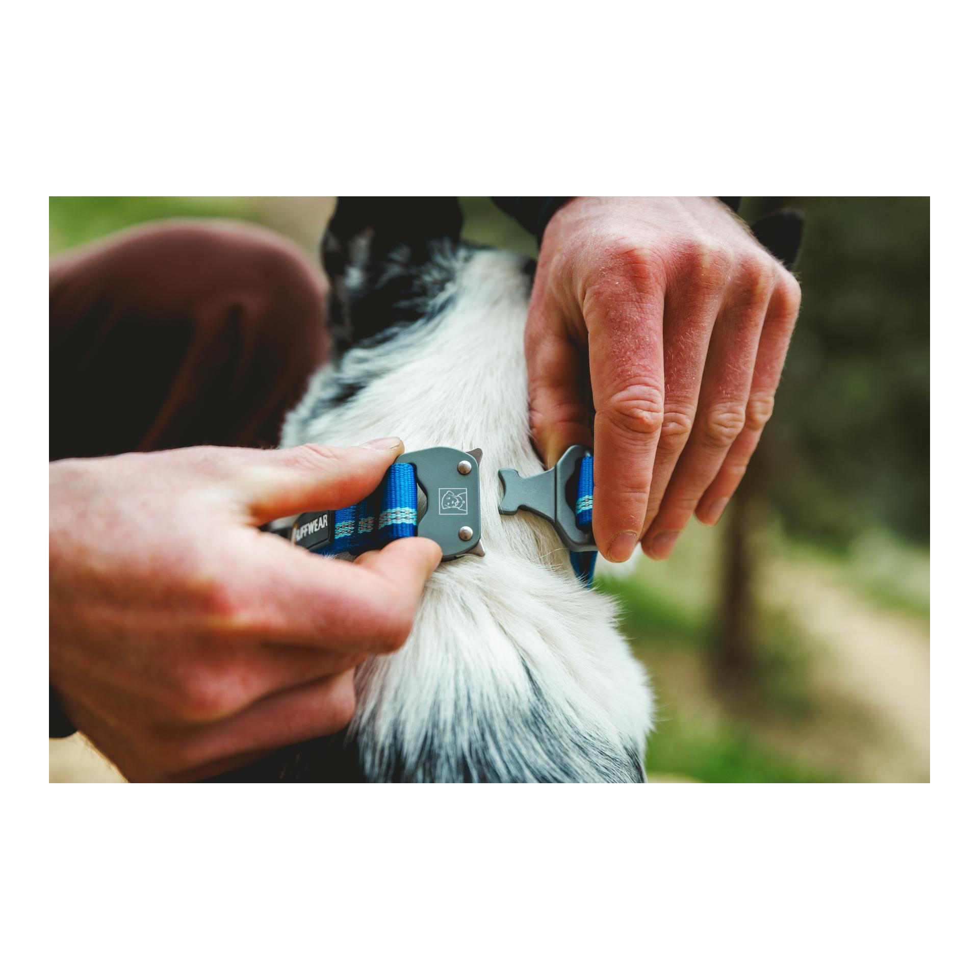 Top Rope Collar Hundehalsband