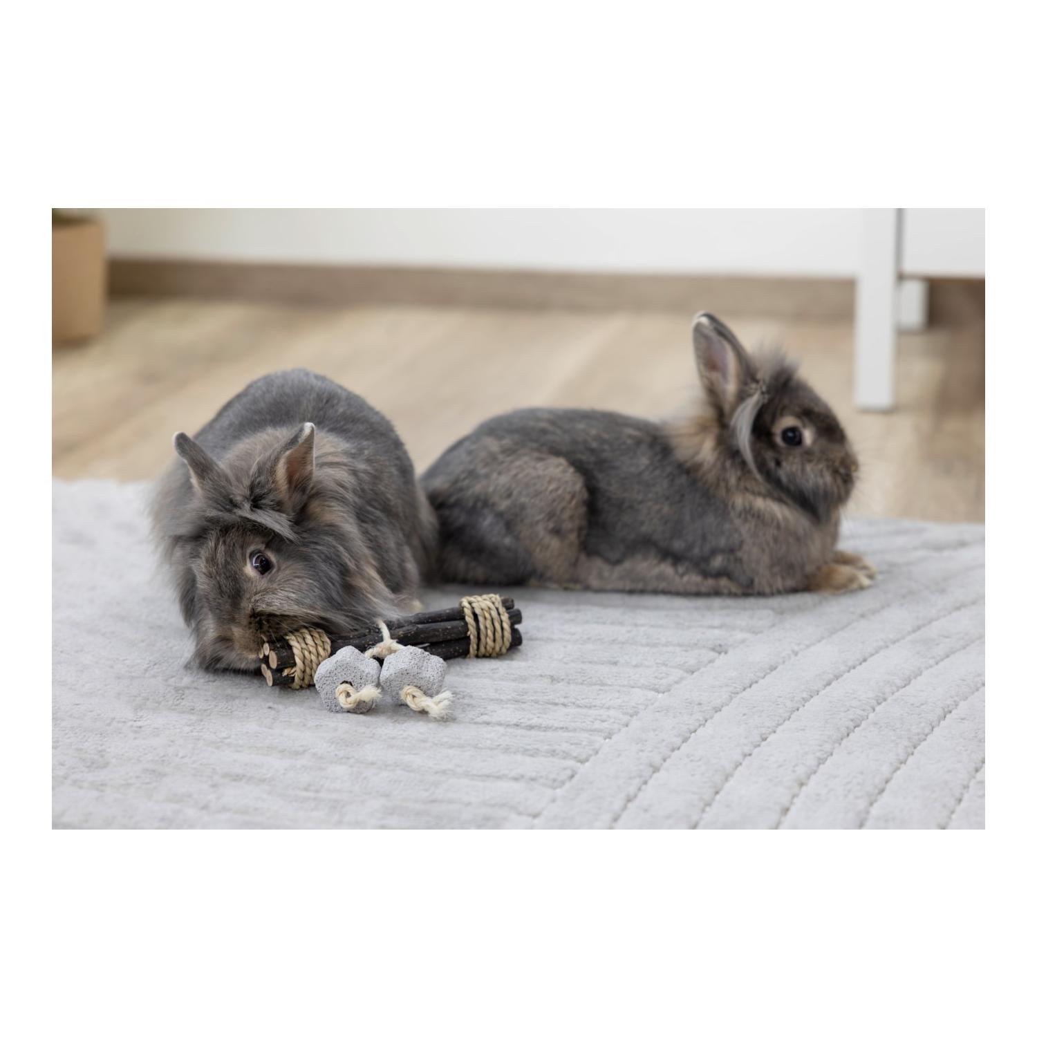 Spiel- und Knabberholz mit Lavastein